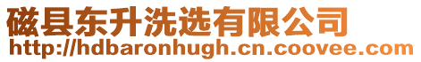 磁縣東升洗選有限公司