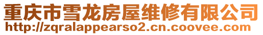 重慶市雪龍房屋維修有限公司
