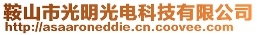 鞍山市光明光電科技有限公司