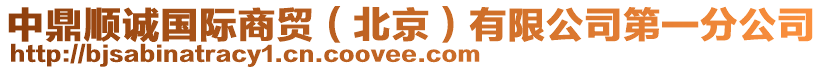 中鼎順誠國際商貿(mào)（北京）有限公司第一分公司