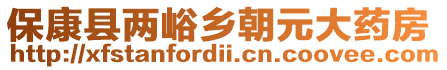 ??悼h兩峪鄉(xiāng)朝元大藥房