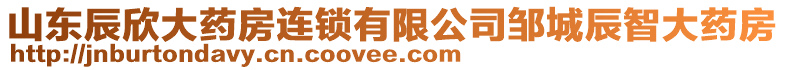 山東辰欣大藥房連鎖有限公司鄒城辰智大藥房