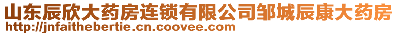 山東辰欣大藥房連鎖有限公司鄒城辰康大藥房