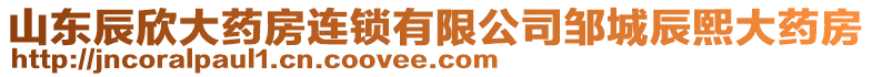 山東辰欣大藥房連鎖有限公司鄒城辰熙大藥房