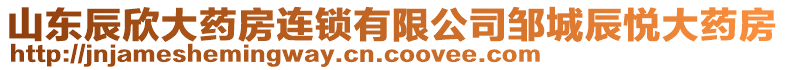 山東辰欣大藥房連鎖有限公司鄒城辰悅大藥房