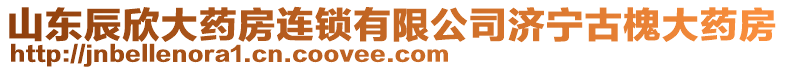 山東辰欣大藥房連鎖有限公司濟寧古槐大藥房