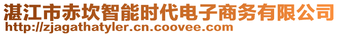 湛江市赤坎智能時(shí)代電子商務(wù)有限公司