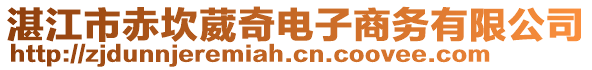 湛江市赤坎葳奇電子商務(wù)有限公司