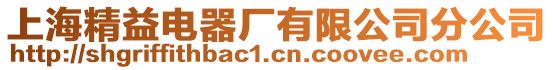 上海精益電器廠有限公司分公司