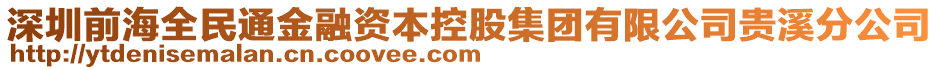 深圳前海全民通金融資本控股集團(tuán)有限公司貴溪分公司