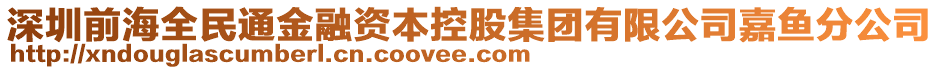 深圳前海全民通金融資本控股集團(tuán)有限公司嘉魚分公司