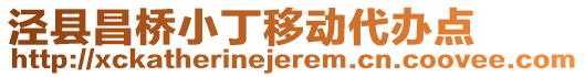 涇縣昌橋小丁移動代辦點(diǎn)