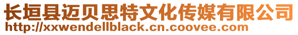 長垣縣邁貝思特文化傳媒有限公司