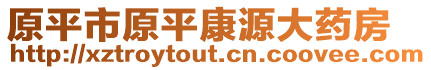 原平市原平康源大藥房