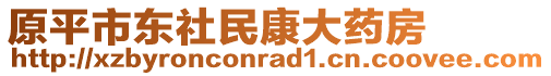 原平市東社民康大藥房