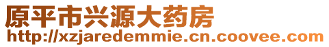原平市興源大藥房