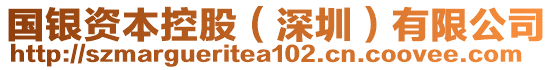 國銀資本控股(深圳)有限公司