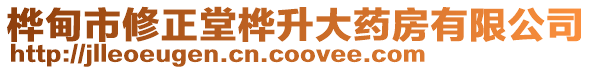 桦甸市修正堂桦升大药房有限公司