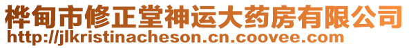 樺甸市修正堂神運(yùn)大藥房有限公司