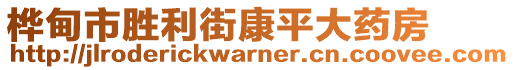 樺甸市勝利街康平大藥房