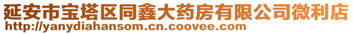 延安市寶塔區同鑫大藥房有限公司微利店