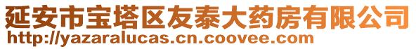 延安市寶塔區(qū)友泰大藥房有限公司