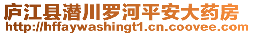 廬江縣潛川羅河平安大藥房