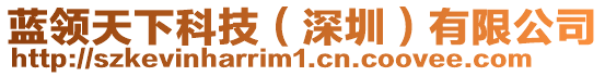 藍(lán)領(lǐng)天下科技（深圳）有限公司