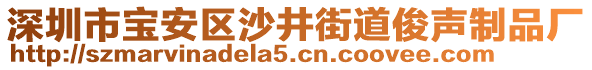 深圳市寶安區(qū)沙井街道俊聲制品廠