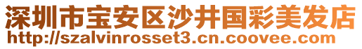 深圳市寶安區(qū)沙井國彩美發(fā)店