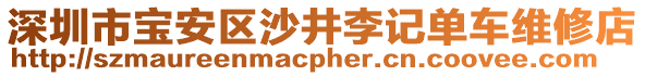 深圳市寶安區(qū)沙井李記單車維修店