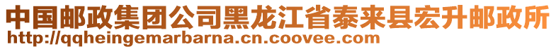 中國郵政集團公司黑龍江省泰來縣宏升郵政所