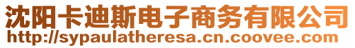 沈陽卡迪斯電子商務(wù)有限公司