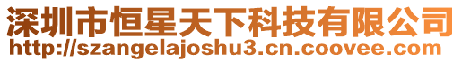 深圳市恒星天下科技有限公司