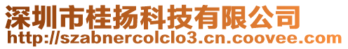 深圳市桂揚(yáng)科技有限公司