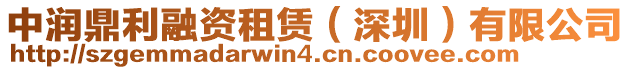 中潤鼎利融資租賃(深圳)有限公司