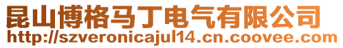 昆山博格馬丁電氣有限公司