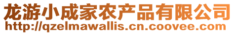 龍游小成家農產品有限公司