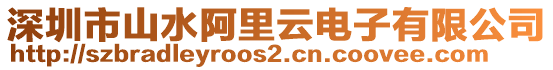 深圳市山水阿里云電子有限公司