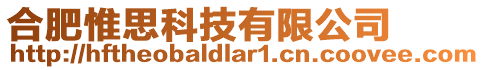 合肥惟思科技有限公司