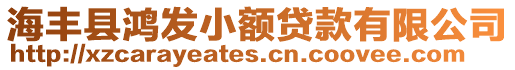 海豐縣鴻發(fā)小額貸款有限公司