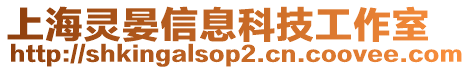 上海靈晏信息科技工作室