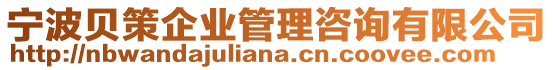 寧波貝策企業(yè)管理咨詢有限公司