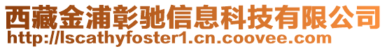 西藏金浦彰馳信息科技有限公司