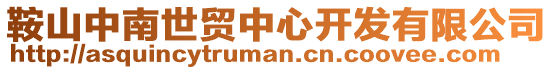 鞍山中南世貿中心開發有限公司