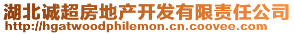 湖北誠(chéng)超房地產(chǎn)開發(fā)有限責(zé)任公司