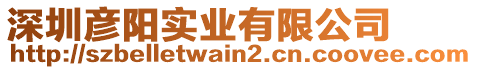 深圳彥陽實業有限公司