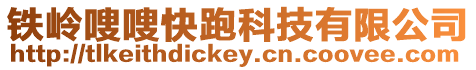 鐵嶺嗖嗖快跑科技有限公司