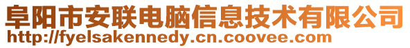 阜陽市安聯電腦信息技術有限公司