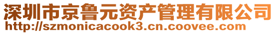 深圳市京魯元資產(chǎn)管理有限公司